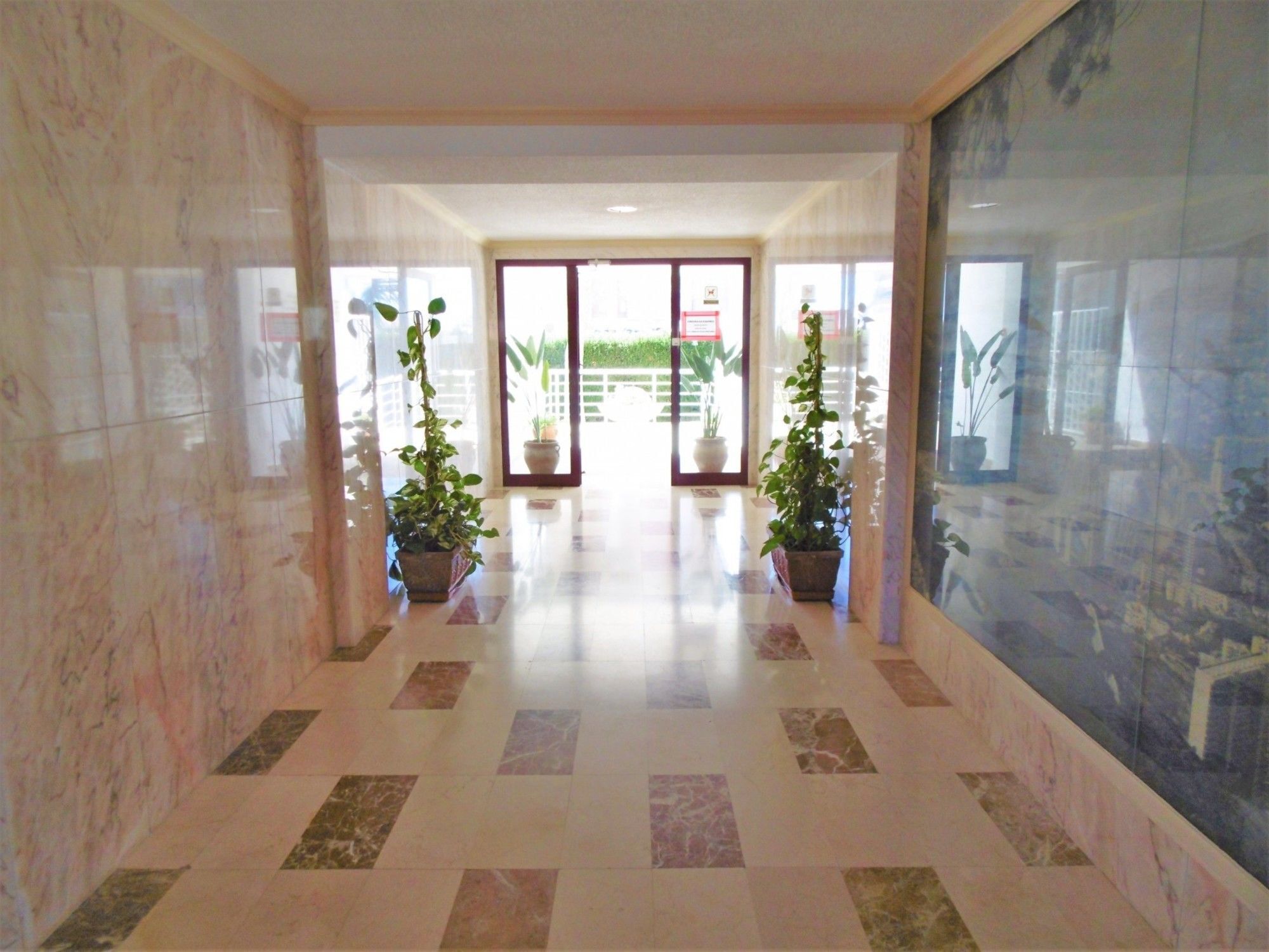 Albatros Appartement *
